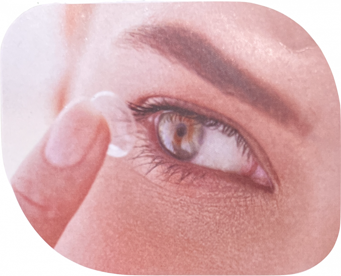 IMG_7116.png